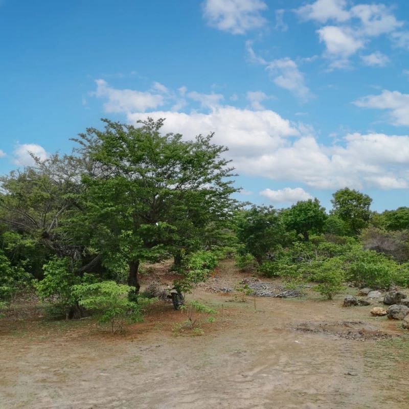 Land Jalan Okafui